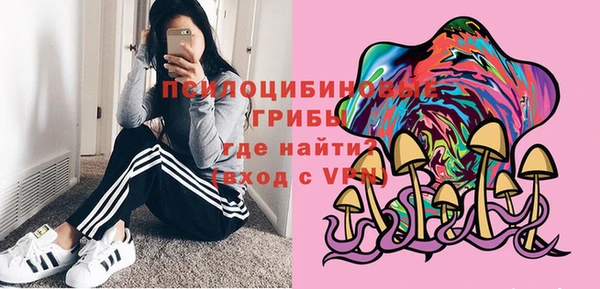 стафф Заводоуковск